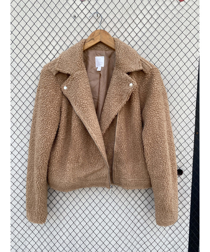 Amber brown-colored, teddy,...